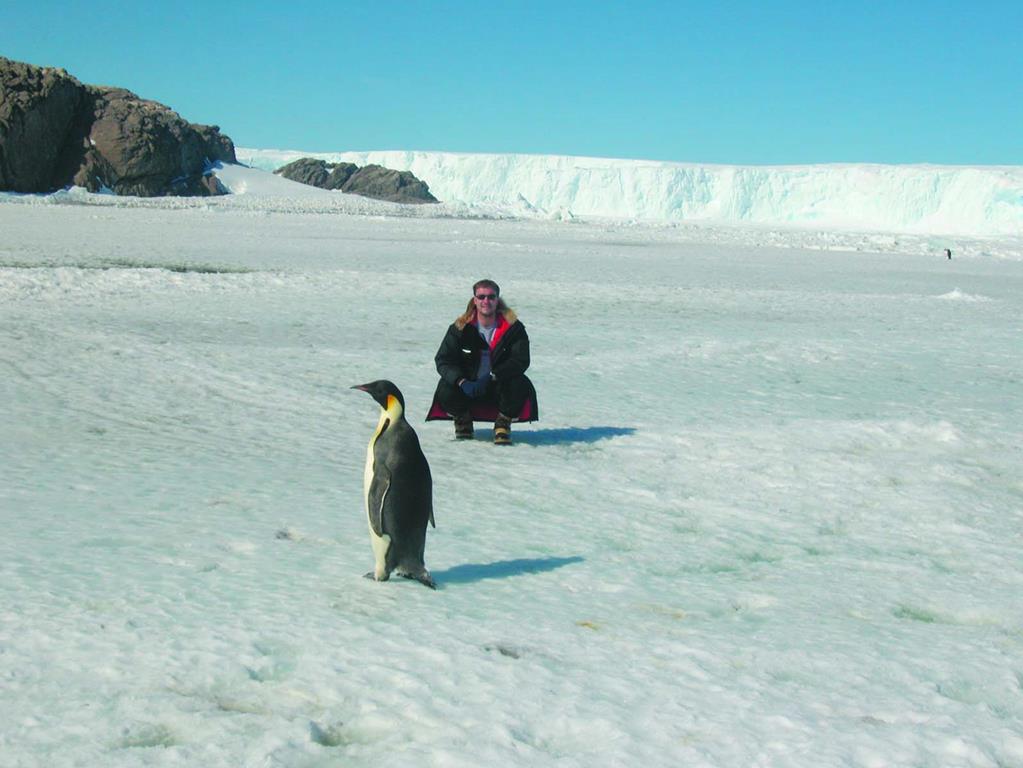 Императорский пингвин. Фотография на память