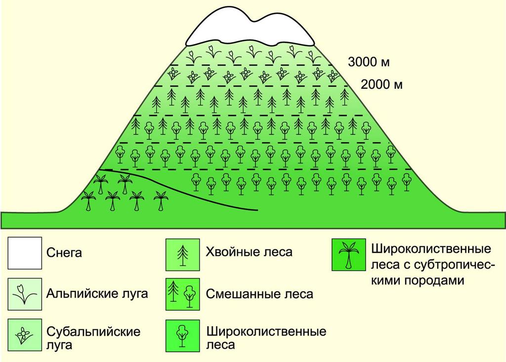 Схема высотной поясности Кавказа