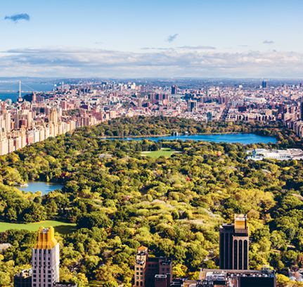 Центральный парк — единственный островок зелени в центре Нью-Йорка