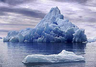 Арктический и антарктические пояса