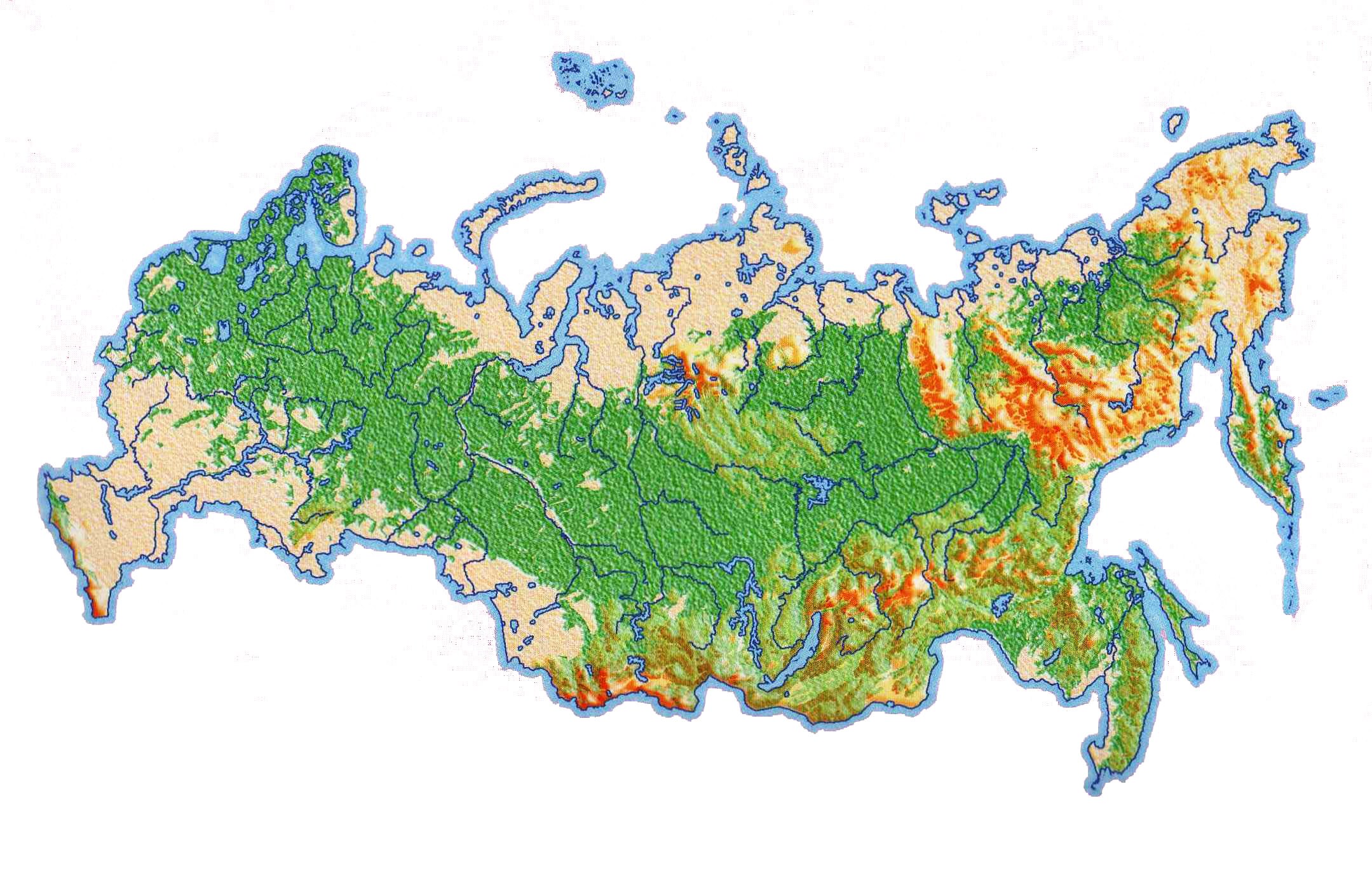 Реферат: Географическое положение России