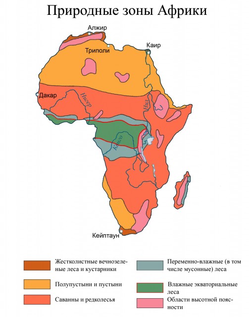 Какие природные зоны в Африке?