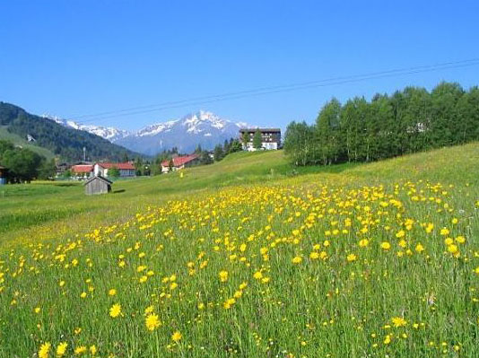 Климат и растительность Австрии