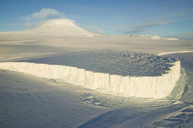 Есть ли почвы в Антарктиде и Арктике?