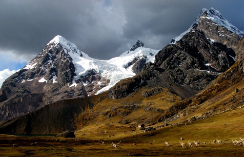 Высотная поясность в Андах (автор фото: Marturius) 