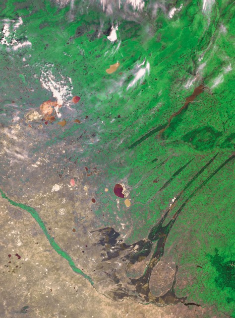 Фото из космоса Барабинская низменность. Кулундинская равнина. Приобское плато. 