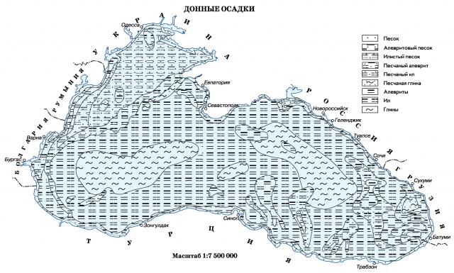 Донные осадки Черного моря