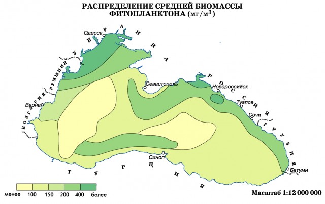 Распределение средней биомассы фитопланктона на Черном море