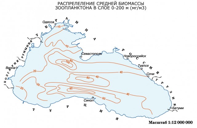 Распределение средней биомассы зоопланктона на Черном море