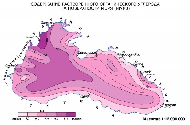 Содержание растворенного органического углерода на поверхности Черного моря