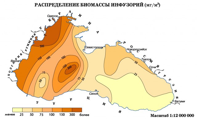 Распределение биомассы инфузорий Черного моря