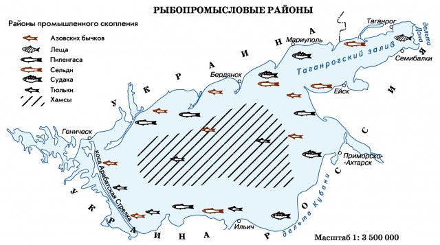Рыбнопромысловые районы Азовского моря