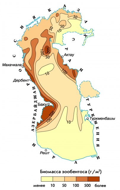 Содержание зообентоса в Каспийском море