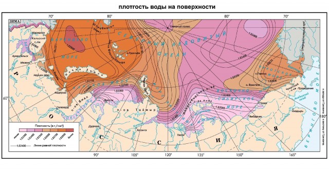 Плотность воды на поверхности морей российского сектора Арктики (зима)