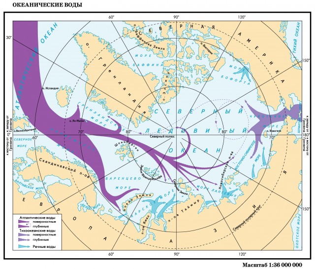 Океанические воды морей российского сектора Арктики