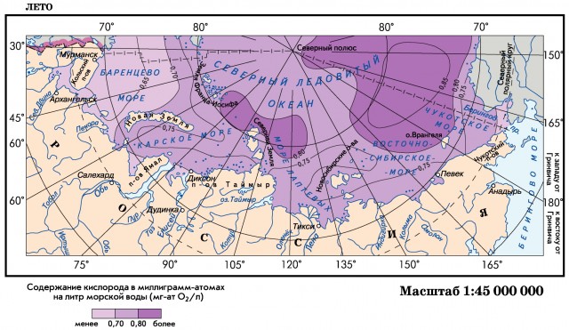 Растворенный кислород на поверхности морей российского сектора Арктики (лето)