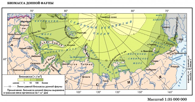 Биомасса донной фауны морей российского сектора Арктики