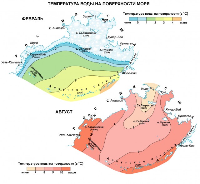 Температура воды на поверхности Берингова моря