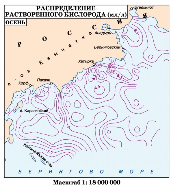 Распределение кислорода Берингово море