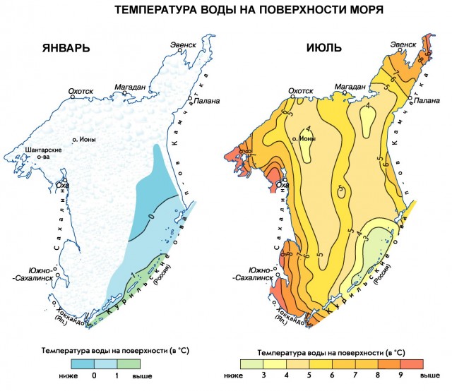 Температура воды на поверхности Охотского моря