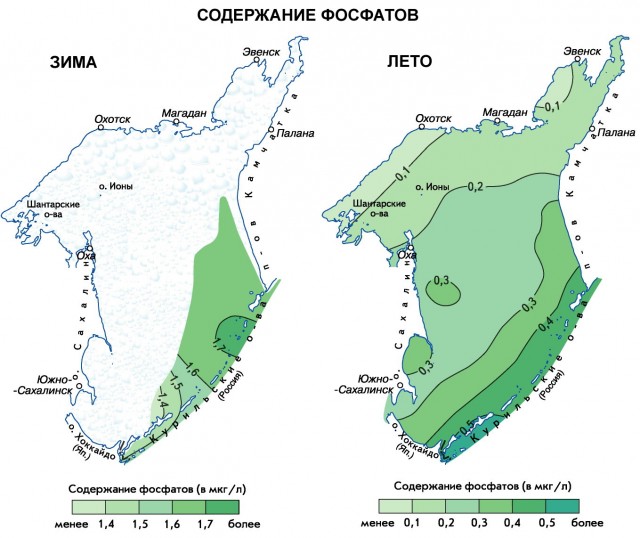 Содержание фосфатов в Охотском море