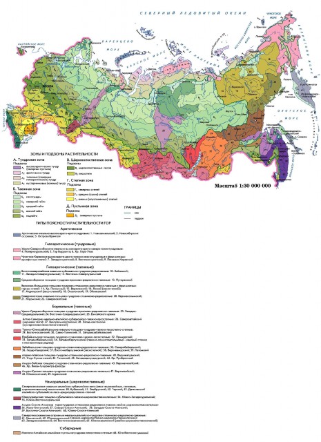 Зоны и типы поясности растительности России