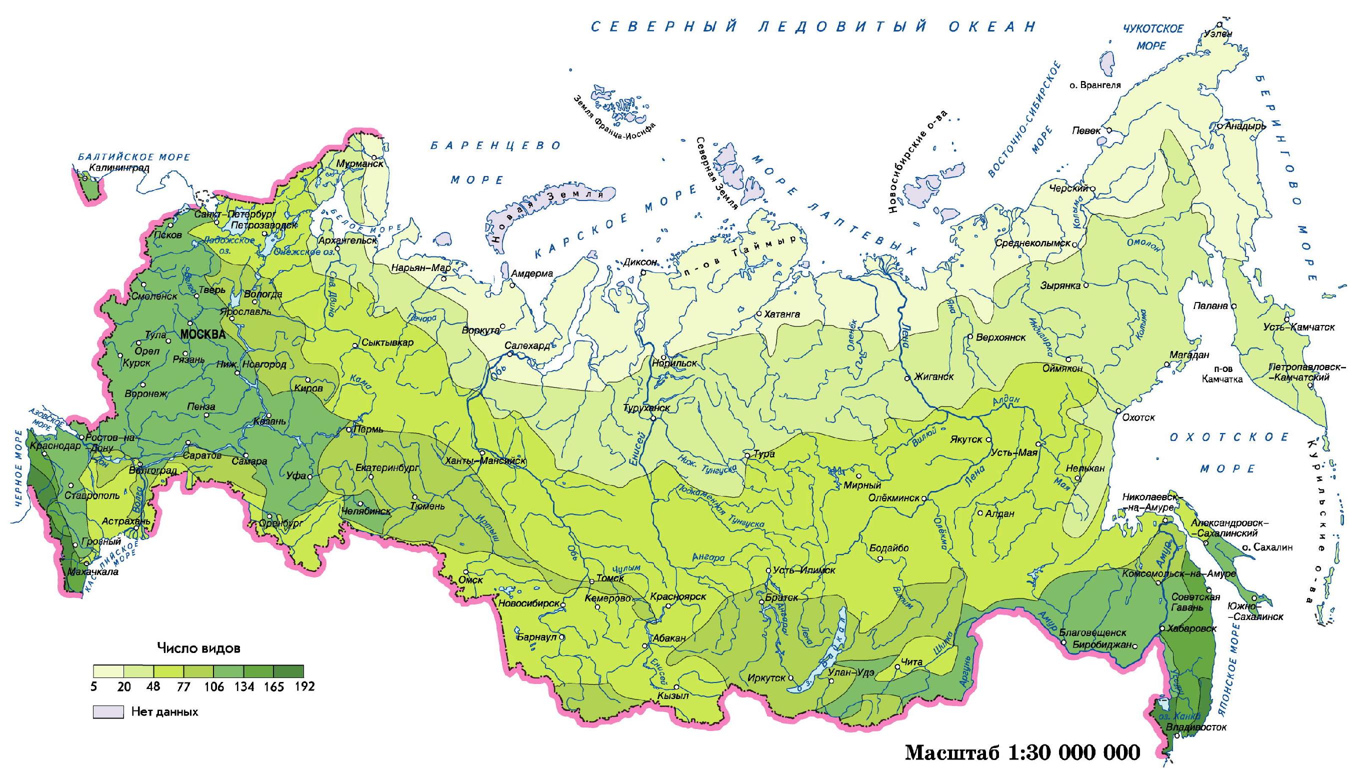 Леса России карта