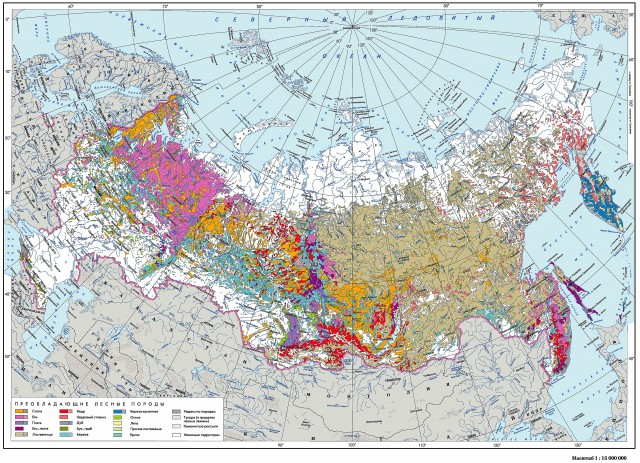Карта леса России