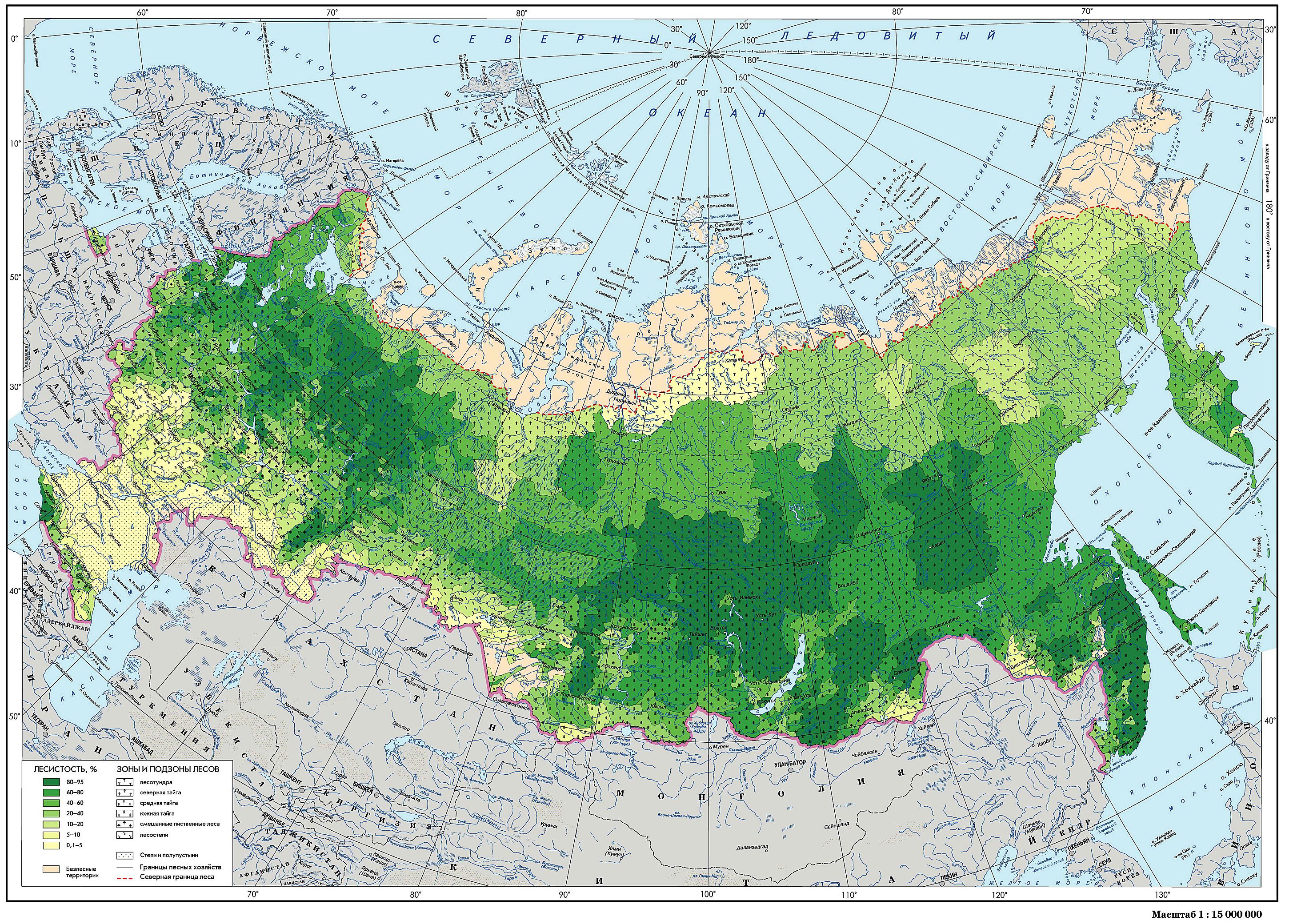 Хвойные леса на карте. Карта лесов РФ. Карта хвойных лесов России. Хвойные леса России на карте. Карта лесов центральной России.