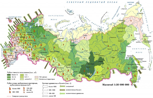Использование лесных ресурсов России
