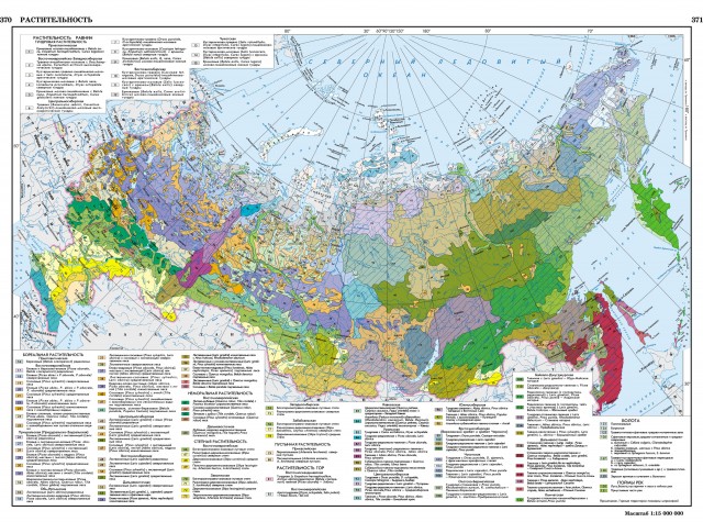 Карта растительность России