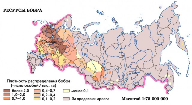 Ресурсы бобра в России