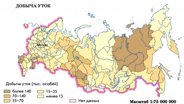 Добыча уток в России