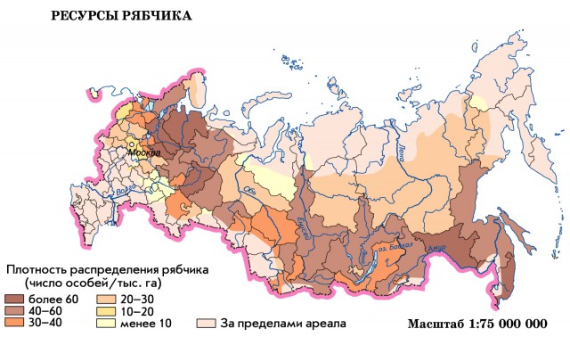 Ресурсы рябчика в России