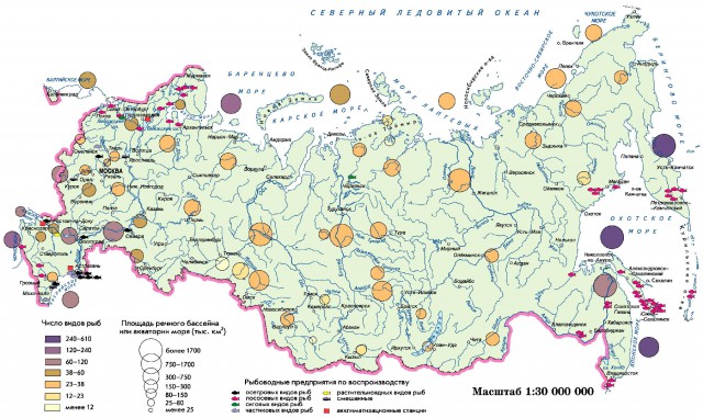 Разнообразие рыб во внутренних морских водах и пресноводных водоемах России