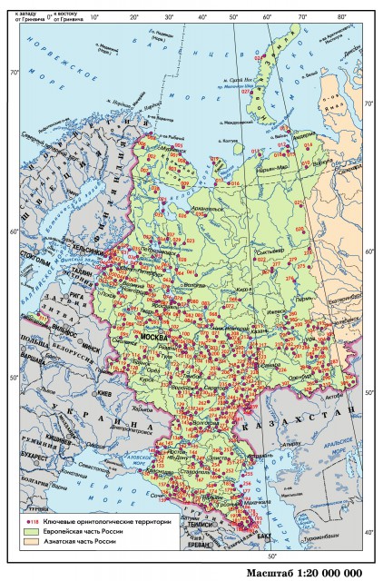 Ключевые орнитологические территории международного значения Европейской части России