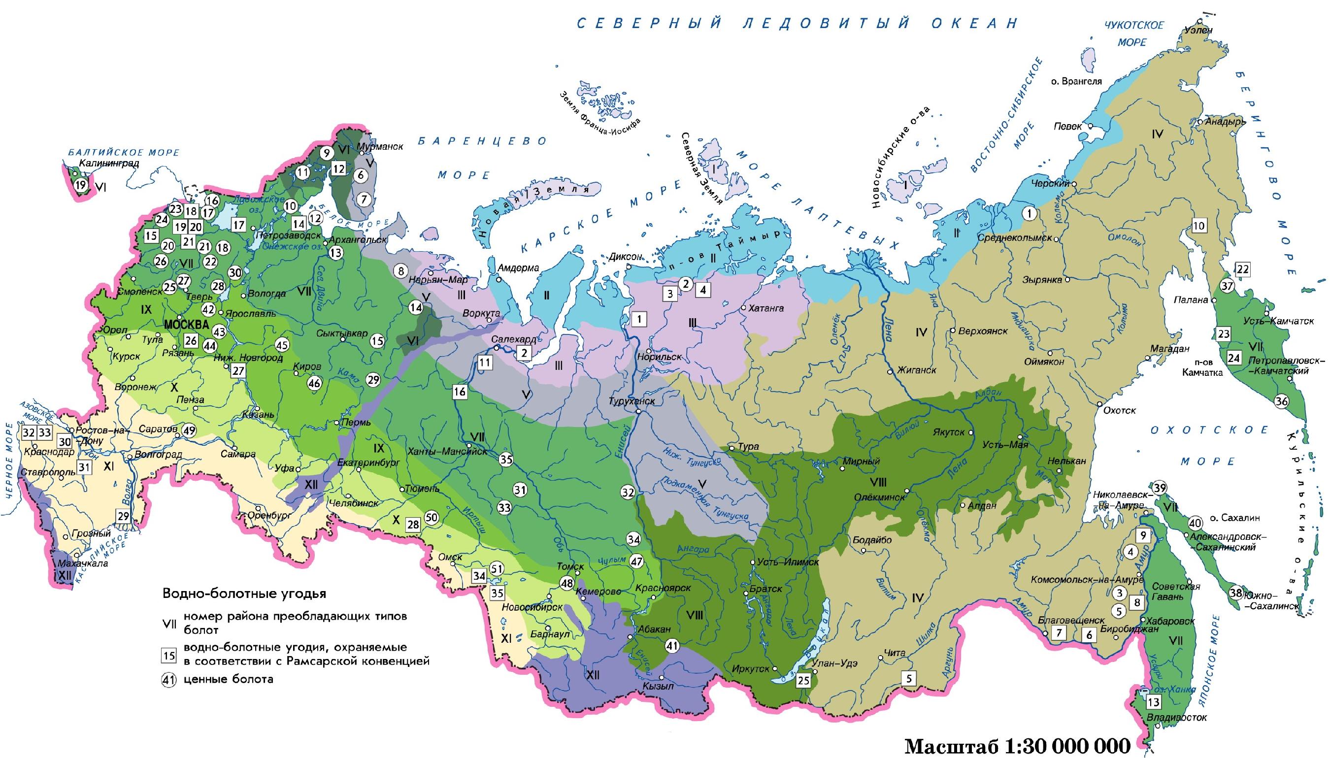 Карта болот РФ