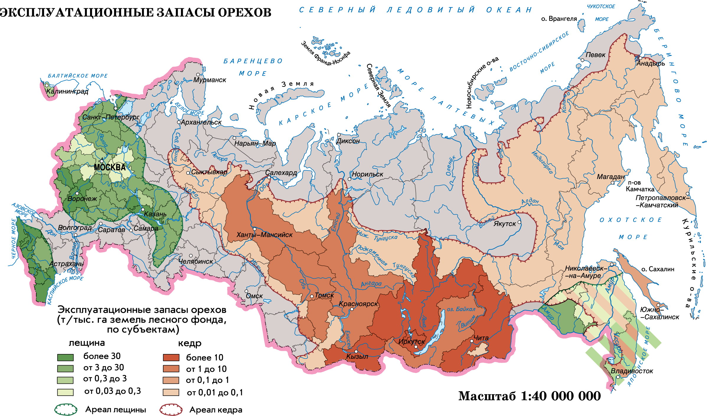 Сибирский кедр распространение на карте