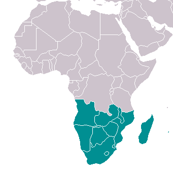 Южная и Юго-Восточная Африка