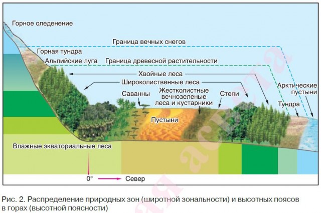 Распределение природных зон (широтной зональности) и высотных поясов в горах (высотной поясности)