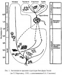 Эволюция во времени структуры биосферы Земли (по Л. Маргелису, 1983, с дополнениями Б.А. Соколова)