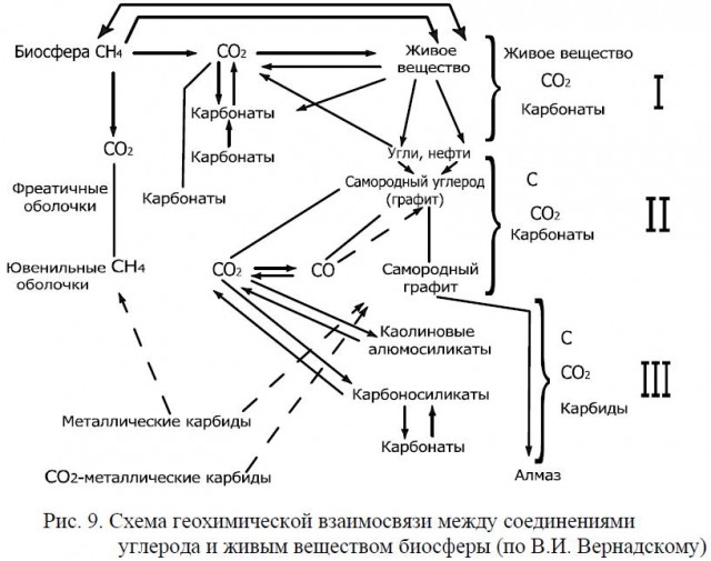 Схема геохимической взаимосвязи между соединениями углерода и живым веществом биосферы (по В.И. Вернадскому)